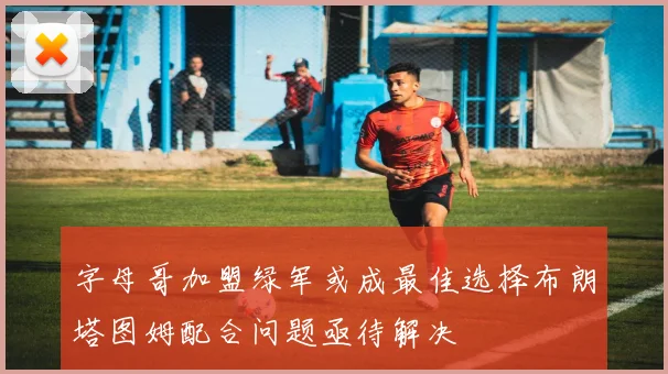 字母哥加盟绿军或成最佳选择布朗塔图姆配合问题亟待解决