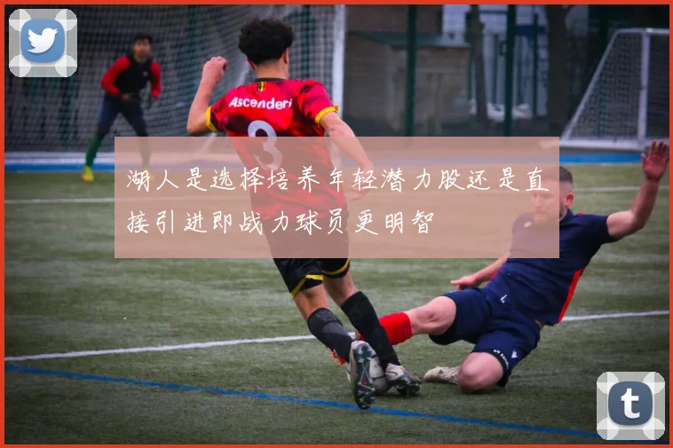 湖人是选择培养年轻潜力股还是直接引进即战力球员更明智