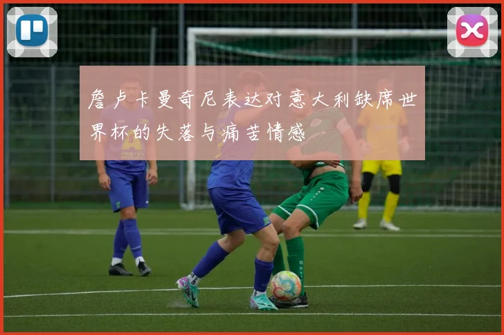 詹卢卡曼奇尼表达对意大利缺席世界杯的失落与痛苦情感